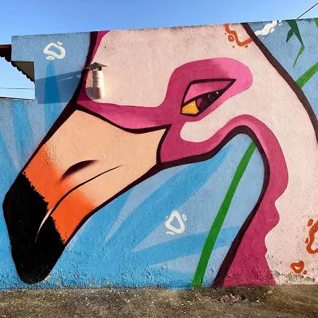 House אריסרייה